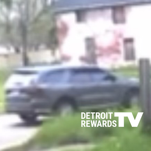 Homicide In The 3800 Block Of 33rd Street City Of Detroit homicide-in-the-3800-block-of-33rd-street-city-of-detroit
